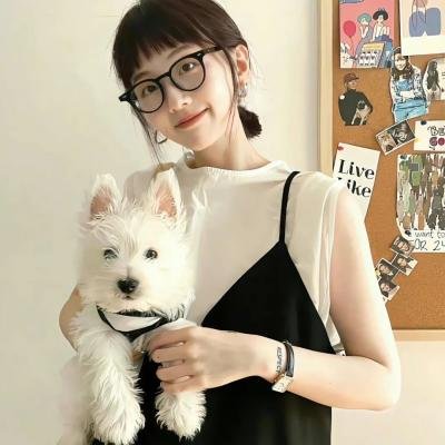 风尘双侠